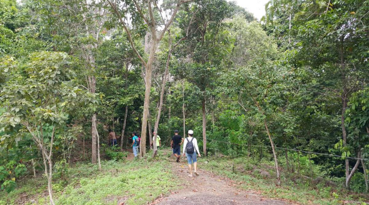 Photo Bukit Peramun